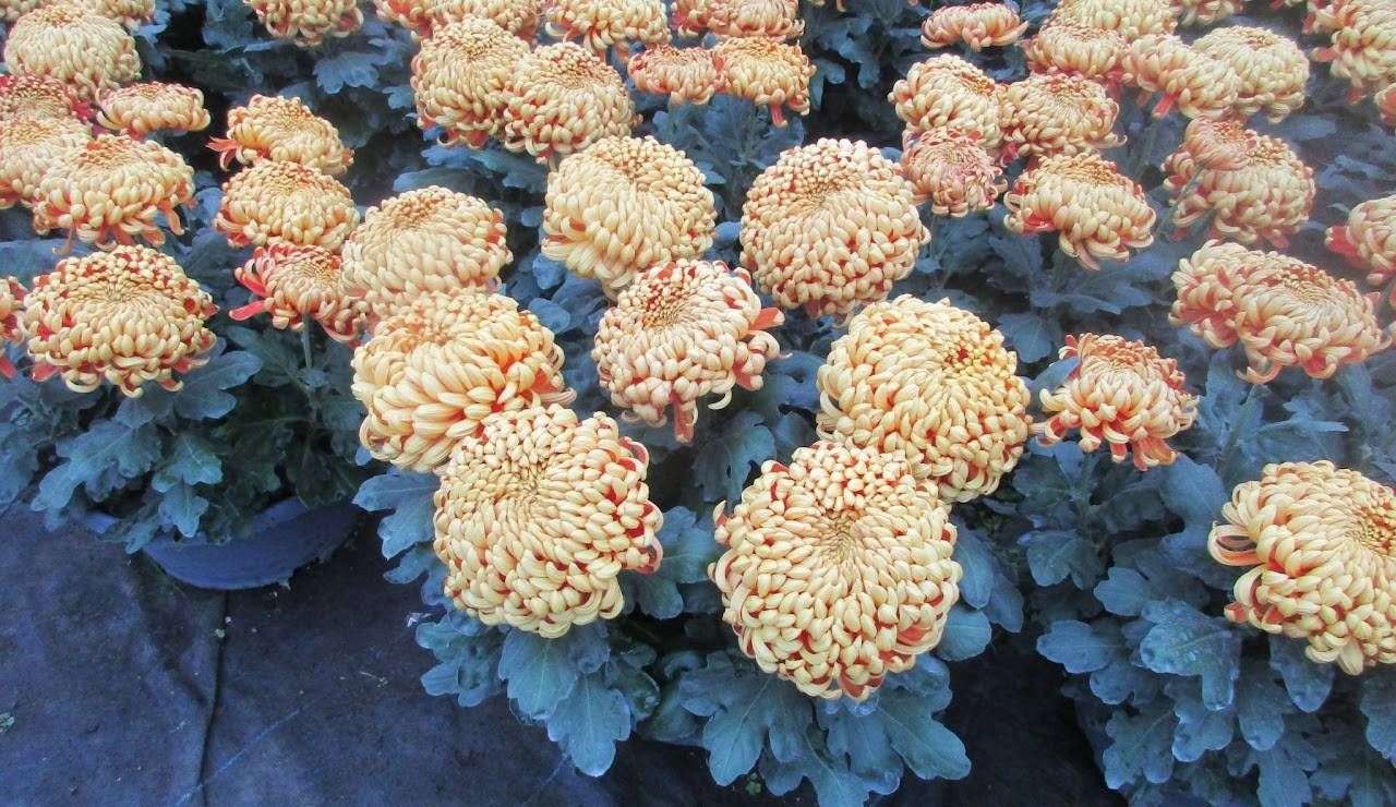 623ba9b5b8b08_images_large