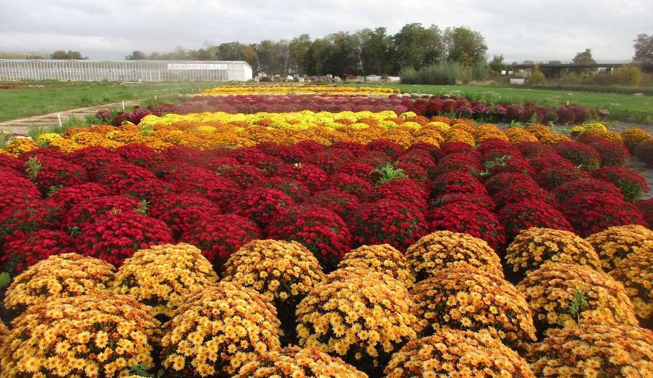 623ba9e82d192_images_large