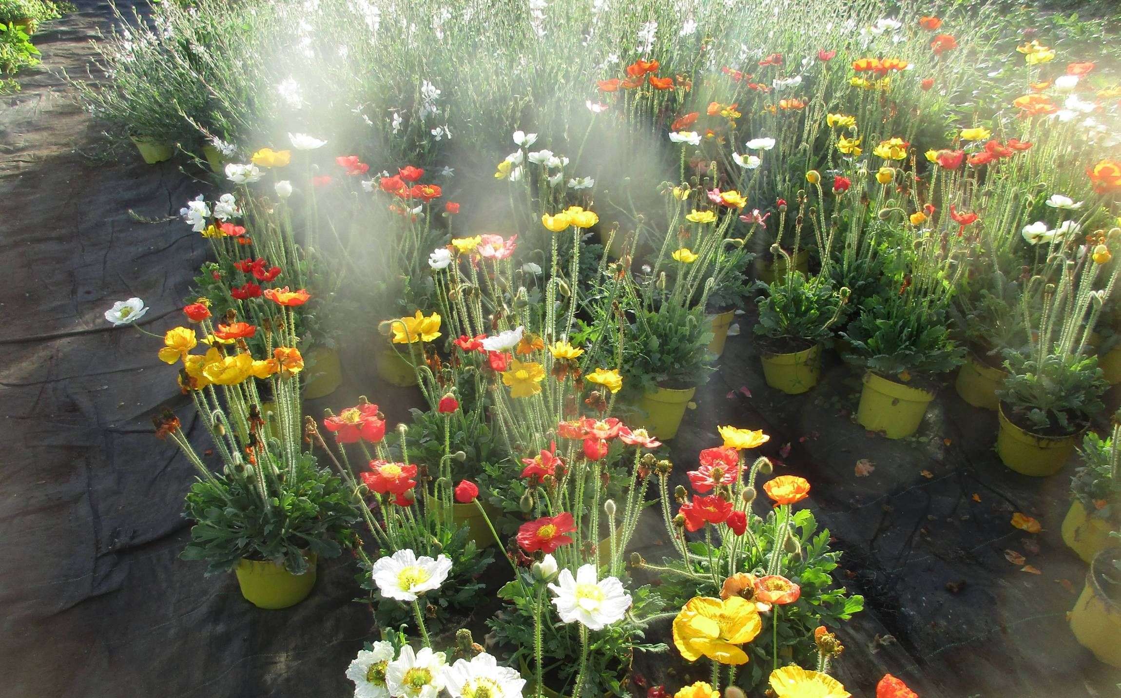 628ddee2b326d_images_large