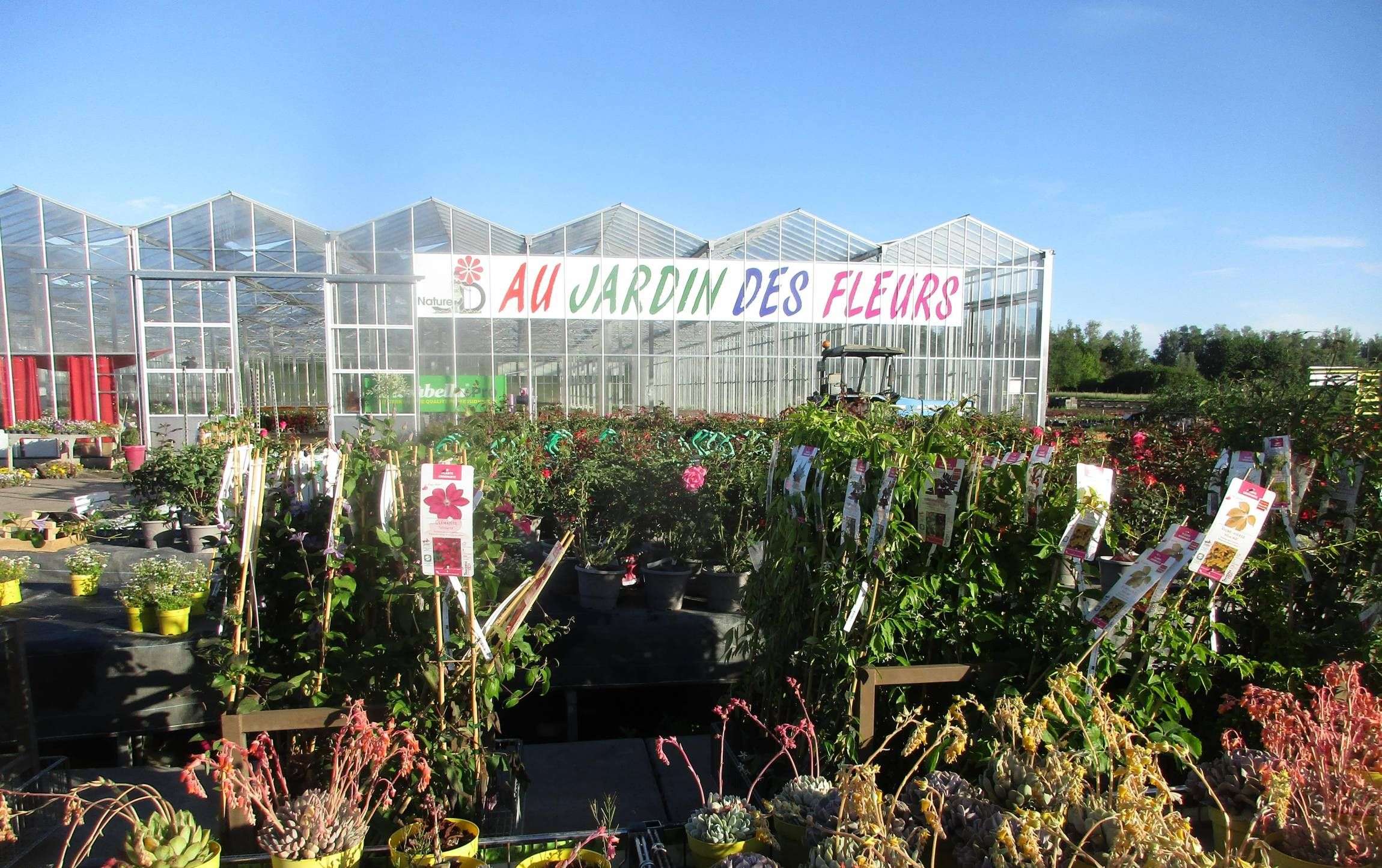 628de95602453_images_large