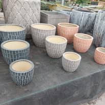 475386145_1277362143559751_2266009889573502386_n