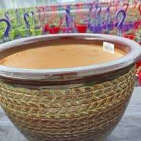 475413778_1277362040226428_6109689860444621313_n