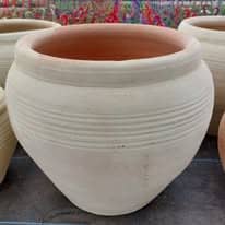 475444699_1277362190226413_8685292533416669000_n