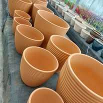 475674987_1277362103559755_4517904797289148969_n