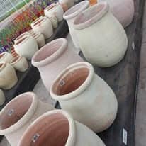 475743641_1277362290226403_8626130822201586786_n