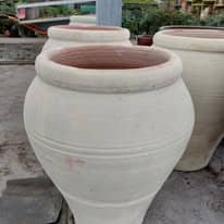 475744950_1277362216893077_6894951119112420043_n