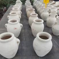 475747162_1277362293559736_7932238158274279866_n