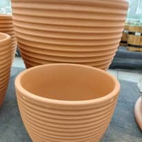 475767392_1277362220226410_6076097896120103363_n