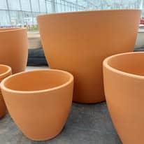 475809747_1277362073559758_9156596626714904274_n