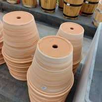 475816854_1277362186893080_8535246480390551503_n