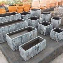 475819863_1277361916893107_2085379326897609749_n