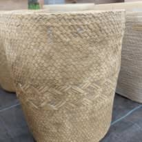 475853868_1277361946893104_7994774648665702459_n