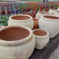 475895332_1277362226893076_9135732970554109943_n