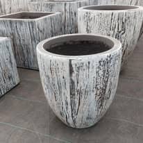 476080610_1277361980226434_2817574138444058031_n