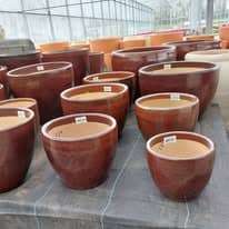 476088525_1277362203559745_2400822276233481757_n