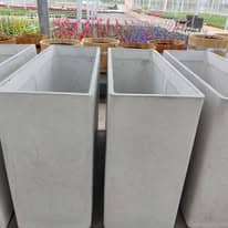 476096831_1277362230226409_434403196082695018_n