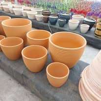 476098808_1277361950226437_6192734282006654693_n